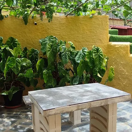 Casa